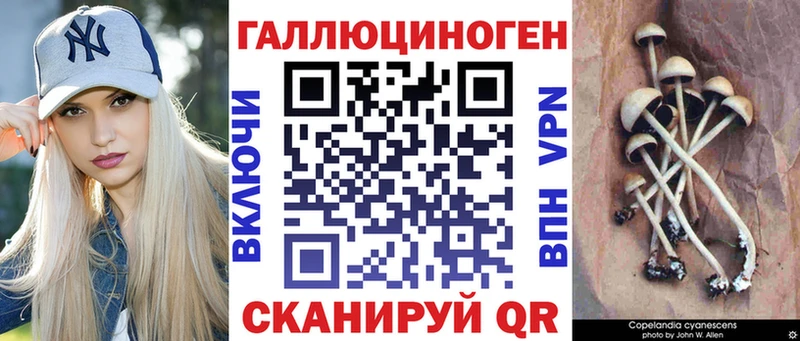 Псилоцибиновые грибы MAGIC MUSHROOMS  Купить закладки  Светогорск 